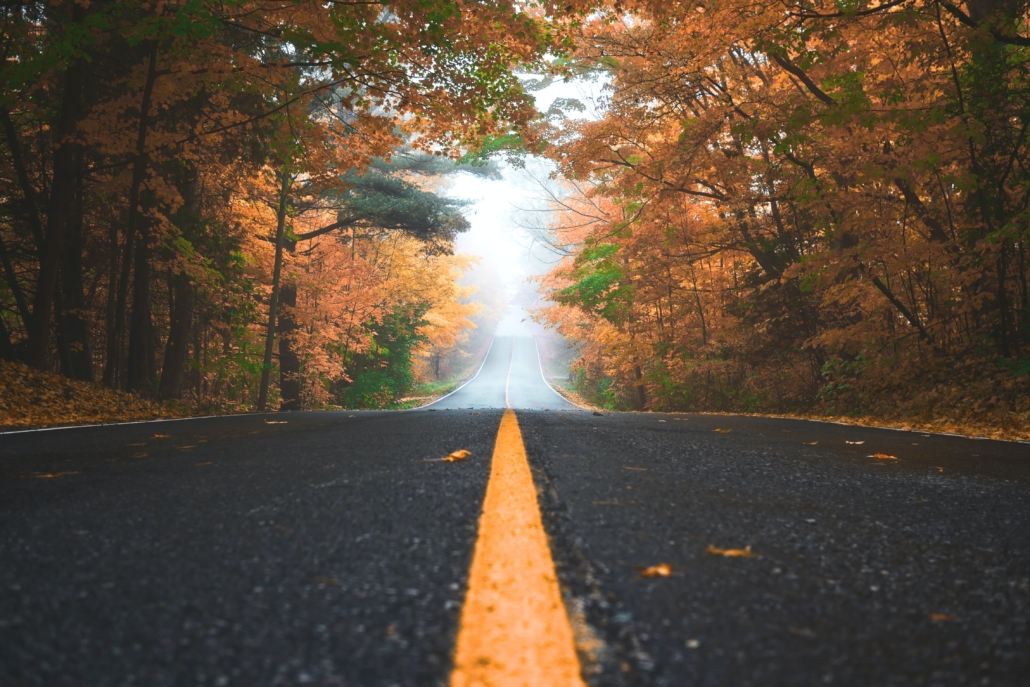 Eine herbstliche Straße - Tipps für das Autofahren im Herbst